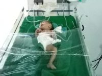 WhatsApp Image 2024-01-27 at 2.37.37 PM