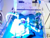 WhatsApp Image 2024-02-13 at 7.21.47 AM