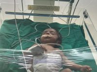 WhatsApp Image 2025-01-28 at 17.30.03_e331ea41